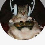 Profile Picture of brynngonzalez (@cats4games) on Instagram