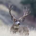 Profile Picture of Bruce Olson (@bruce.olson.359) on Instagram