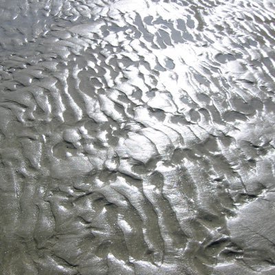 Profile Picture of Dr Daniel Lalla (@DrDanelLalla) on Twitter