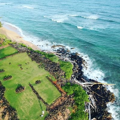 Profile Picture of Patrick Vogt (@PatrickVogt1) on Twitter