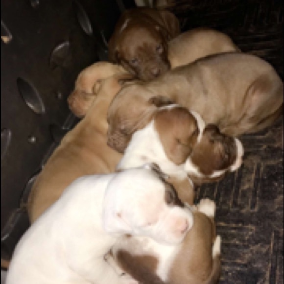 Profile Picture of Teyonna Wimbush (@tatee00) on Poshmark