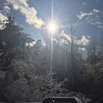 Profile Picture of Nancy Braley (@nancy.braley) on Instagram