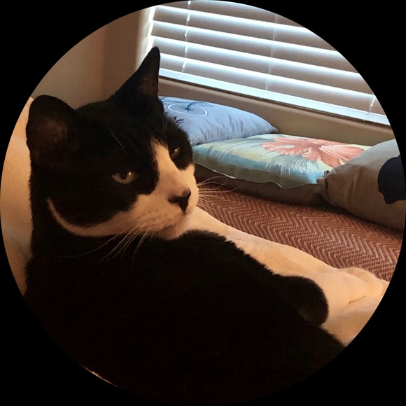 Profile Picture of Randall Kushima (@chibimew) on Poshmark