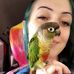 Profile Picture of Katelin Staples (@katelin.noelle.staples) on Facebook