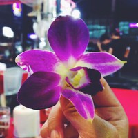 Profile Picture of Diana Halim (@diana-halim-7) on Quora