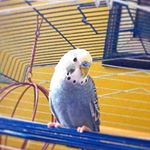 Profile Picture of Scott Holyday (@scotte6690) on Instagram