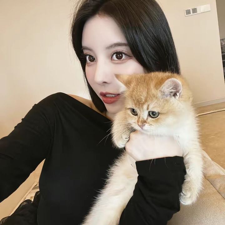 Profile Picture of Sharie Goulet (@sixinana_) on Tiktok