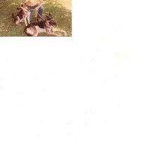 Profile Picture of Richard Pendleton (@richard.pendleton.73) on Facebook