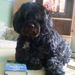Profile Picture of Debbie Kershner Leppien (@dleppien) on Pinterest