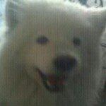 Profile Picture of Ace Steele (@teal___green___blockcitykids) on Instagram