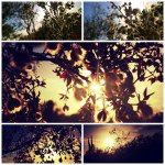 Profile Picture of Dani (@daniwilder) on Instagram