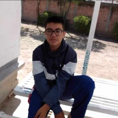 Profile Picture of Emerson Axel Calderón Martínez (@EmersonAxelCal1) on Twitter