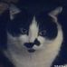 Profile Picture of Ken Heninger (@ken.heninger.9) on Facebook