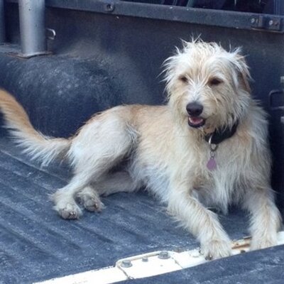 Profile Picture of Kathy Jordan (@kathyjo555) on Twitter