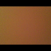 Profile Picture of Lara Wilson (@lalarox1234) on Youtube