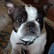 Profile Picture of John Garciadeleon (@johngarciadeleon5602) on Youtube