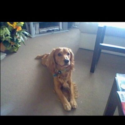 Profile Picture of Neil Brooks (@neilbrooks2) on Twitter