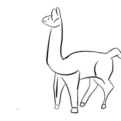 Profile Picture of Lola The Llama (@lola_llama) on Twitter