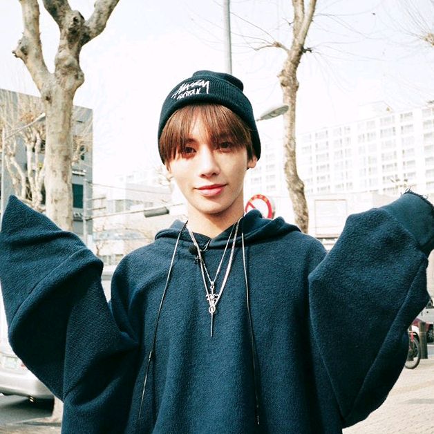 Profile Picture of terry (@terrybbee) on Tiktok