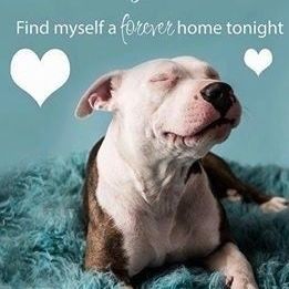 Profile Picture of James Mitchell (@JMitchell424) on Pinterest