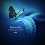 Profile Picture of Arun Nair D (@arun_nair.d) on Instagram