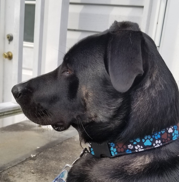 Profile Picture of Kimberly Genualdi (@k_genualdi) on Poshmark