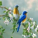 Profile Picture of Christian Howard (@christianhoward6731) on Instagram