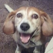 Profile Picture of Jeremy Vincent (@jeremyvincent1329) on Youtube