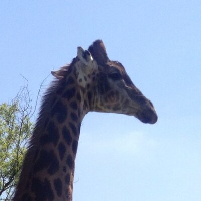 Profile Picture of Marc Schrader (@Marc3345) on Twitter