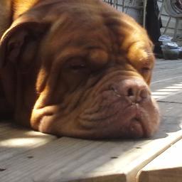 Profile Picture of Jonathan Petropoulos (@jonpetropoulos1) on Twitter