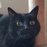 Profile Picture of Kyle Riegler (@kyle_riegler7) on Instagram