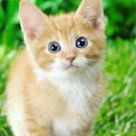 Profile Picture of Madison Pipkin (@pipkinmadison) on Instagram