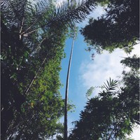 Profile Picture of Mackenzie Dunham (@mackenzie-dunham-4) on Quora