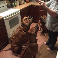 Profile Picture of David Mcwatters (@david-mcwatters-4) on Quora