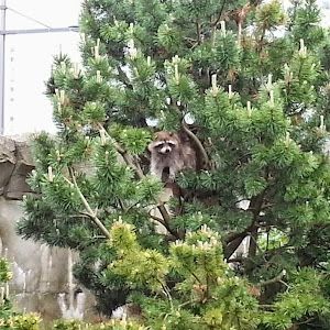 Profile Picture of Michael Riemann (@michael.riemann) on Tiktok