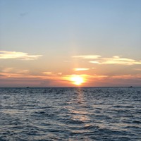 Profile Picture of Lorin Thompson (@lorin-thompson-6) on Quora