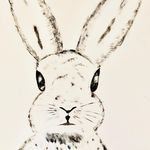 Profile Picture of Judy Mclaughlin (@my.paintedrabbit) on Instagram