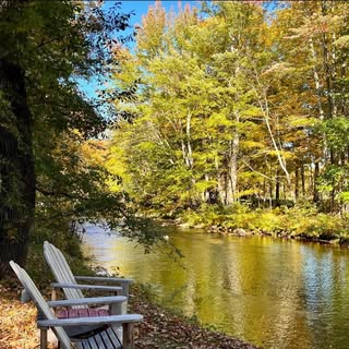 Profile Picture of Nancy Perusse (@nancy.perusse) on Instagram