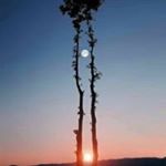 Profile Picture of Chris McClanahan (@chris.mcclanahan.100) on Instagram