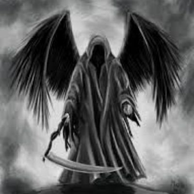 Profile Picture of Tomás Macedo (@Toms33154410) on Twitter