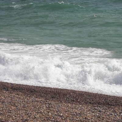 Profile Picture of Jane Harrison (@janehar66304594) on Twitter