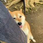 Jon Inocencio - Facebook Profile Picture of Jon Inocencio (@Jon-Inocencio) on Facebook