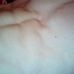 Profile Picture of Scott Thornley (@scott.thornley.3) on Facebook