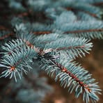 Profile Picture of Jonathan StLouis (@jonathan.stlouis.77) on Facebook