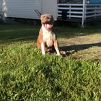 Profile Picture of Jye D Duncan (@Jye-D-Duncan) on Facebook