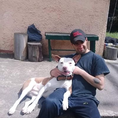 Profile Picture of David Cifuentes (@davidcifuentes8) on Twitter