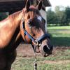 Profile Picture of Lisa Larsen (@@lisalarsen61) on Tiktok