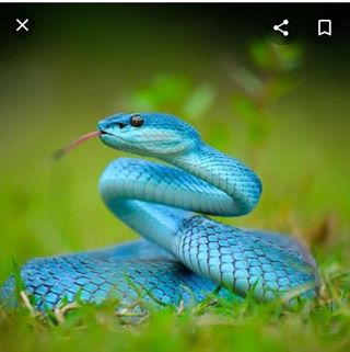 Profile Picture of Alice Cappello (@alice.cappello.568) on Facebook