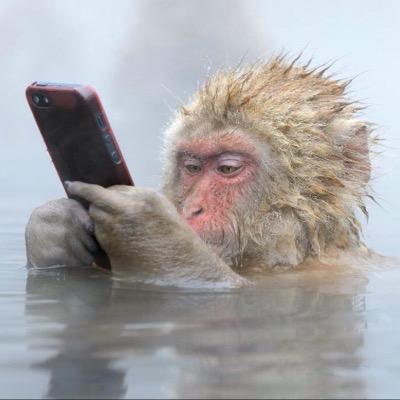 Profile Picture of Keith Brace-John ✊🏻✊🏾✊🏿 (@KeithBraceJohn) on Twitter