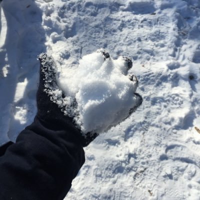 Profile Picture of Fion Lau (@Coldheartedhw) on Twitter